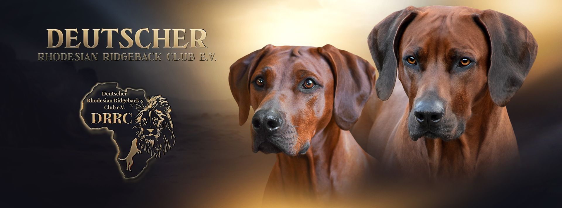 Herzlich Willkommen - Deutscher Rhodesian Ridgeback Club Herzlich Willkommen - Deutscher Rhodesian Ridgeback Club