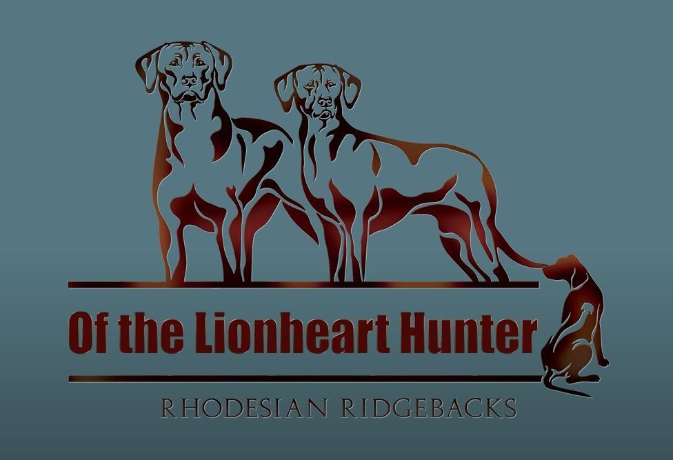 Of the Lionheart Hunter - Rhodesian Ridgebacks Of the Lionheart Hunter - Rhodesian Ridgebacks