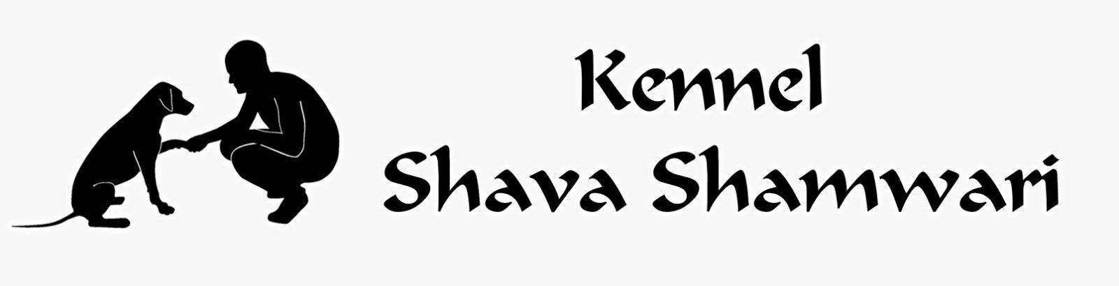 Rhodesian Ridgeback Kennel Shava Shamwari Rhodesian Ridgeback Kennel Shava Shamwari