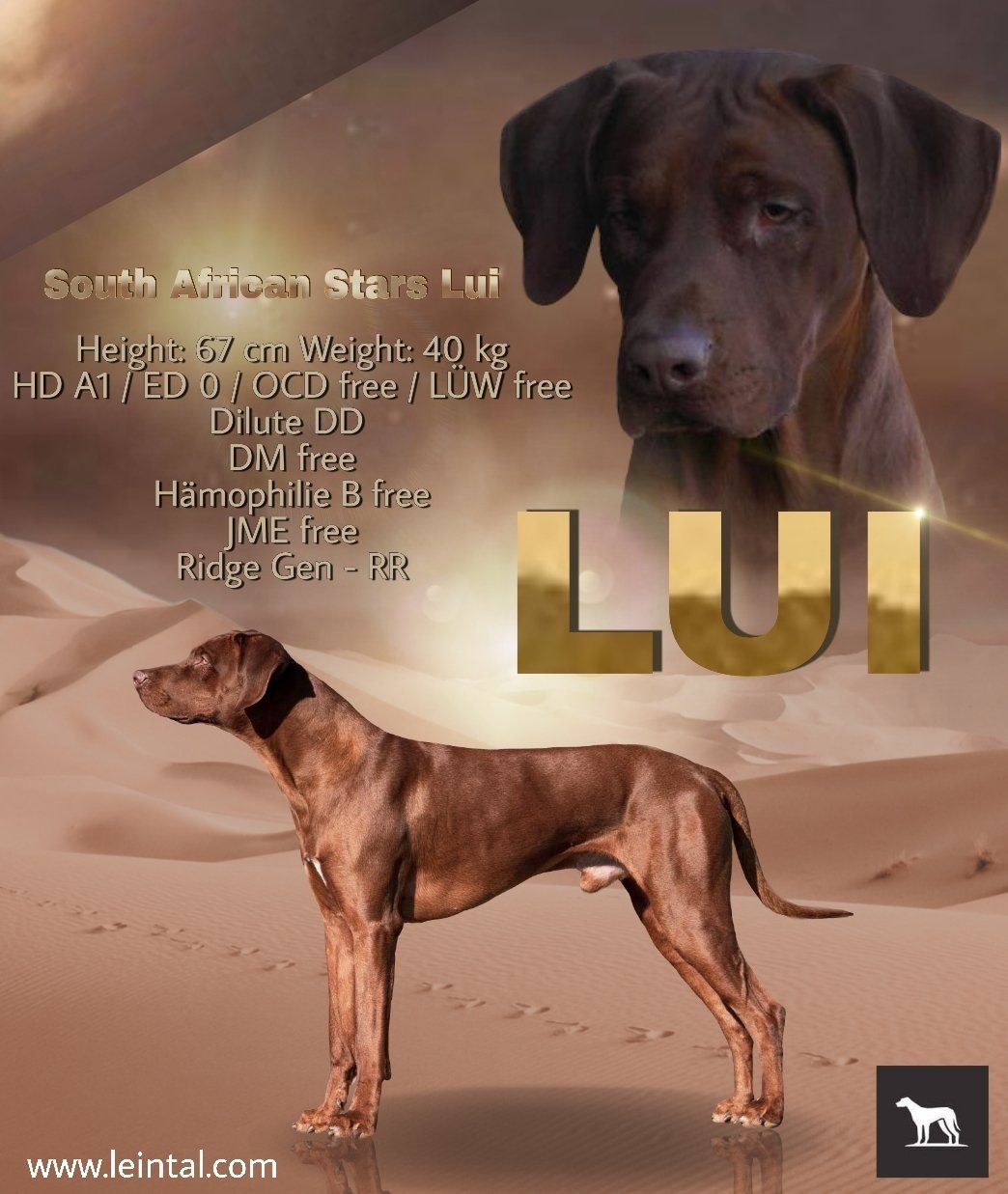 South African Star´s Lui