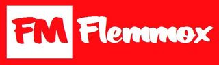 Flemmox Berlin Reinigungsservice