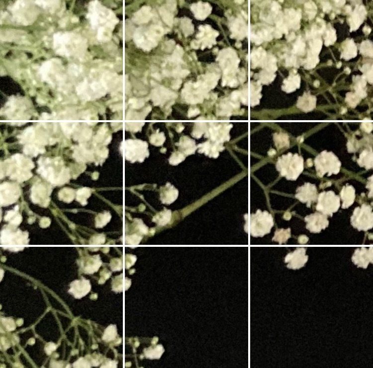 Un anniversaire Black and White organisé en Essonne