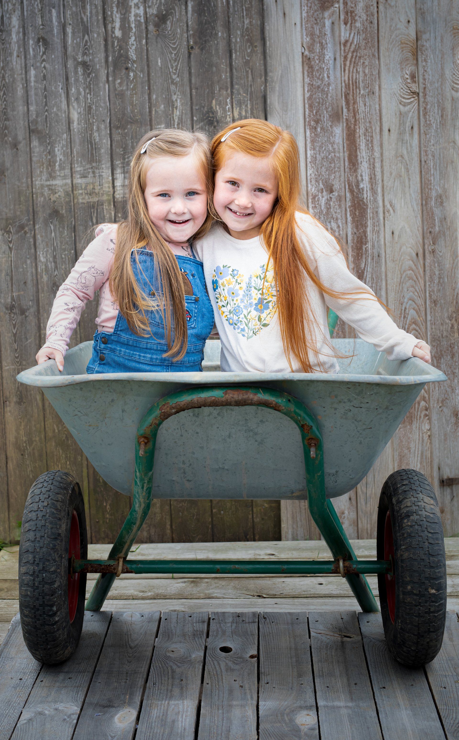 sisters sitting in wheelbarrow smiling at the camera at their family photo session in darlington