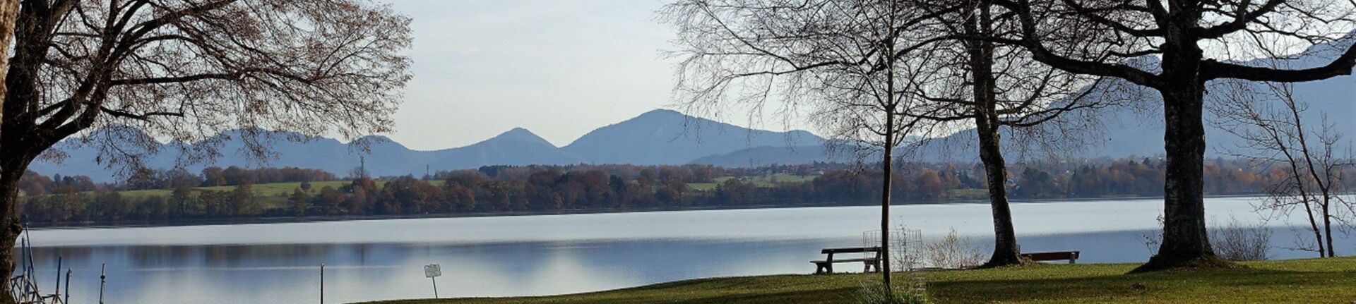 leer en la Naturaleza Libros