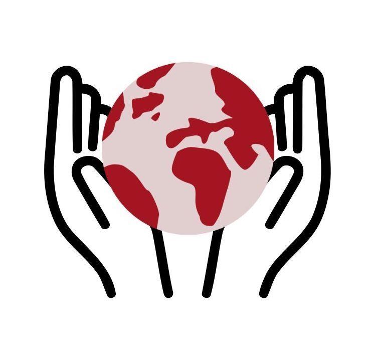 Insight Academy Vision logo