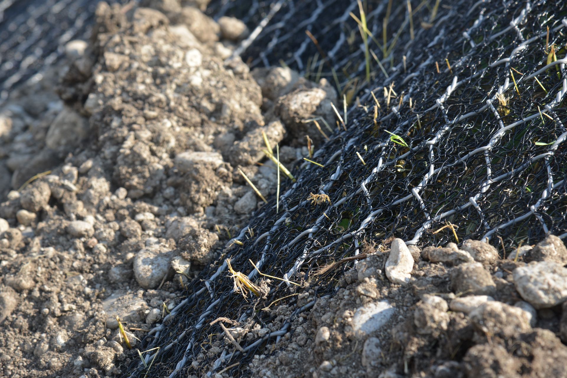 Bibergitter, Bibernetz, Wühltierschutz, Bibermatte , Ufersicherung, Dammsicherung, Deichsicherung, Wasserbau, IWT Verfahren, Dachsgitter