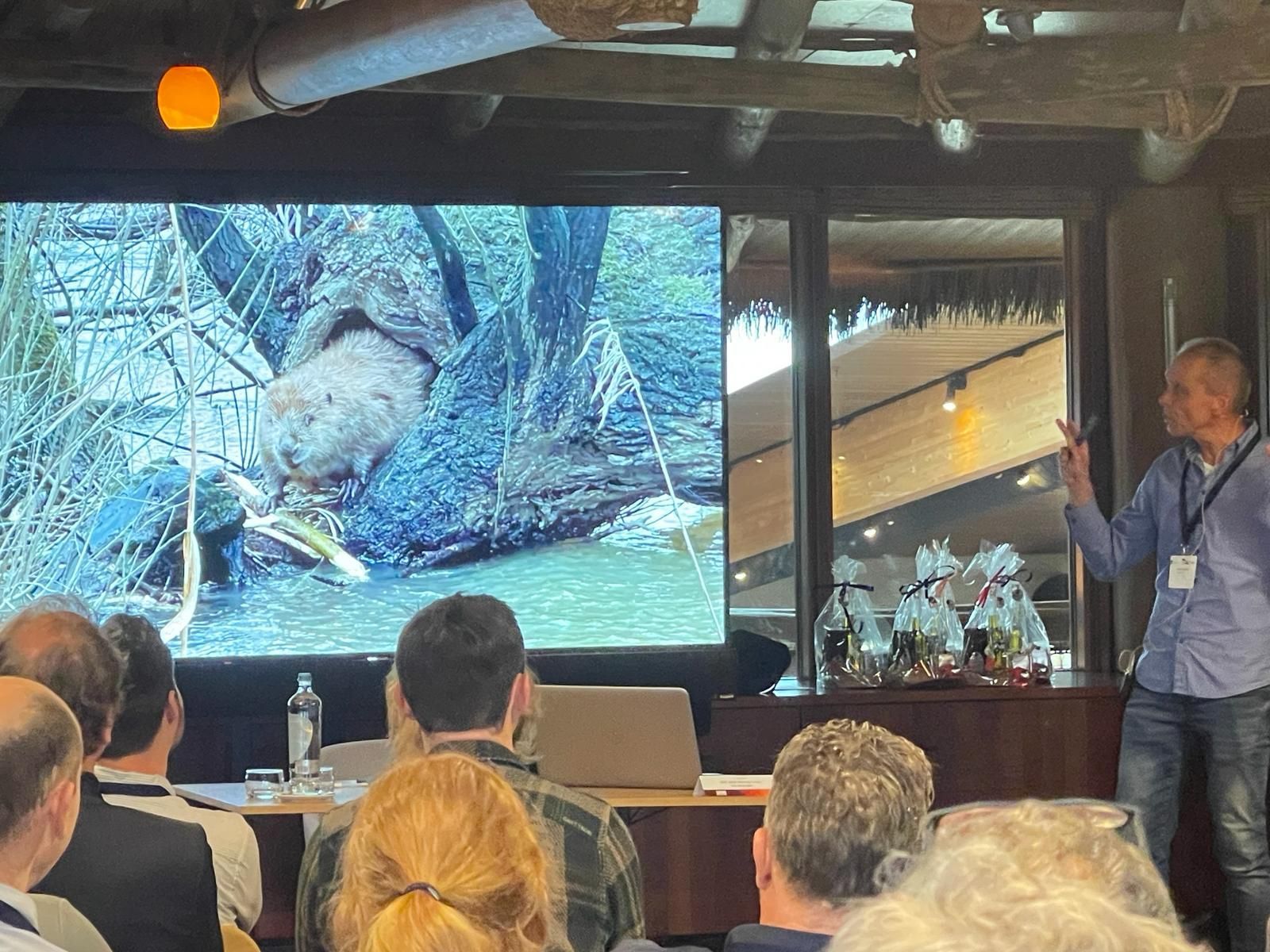 Bibergitter Bibernetz Bibermatte Wühltierschutz