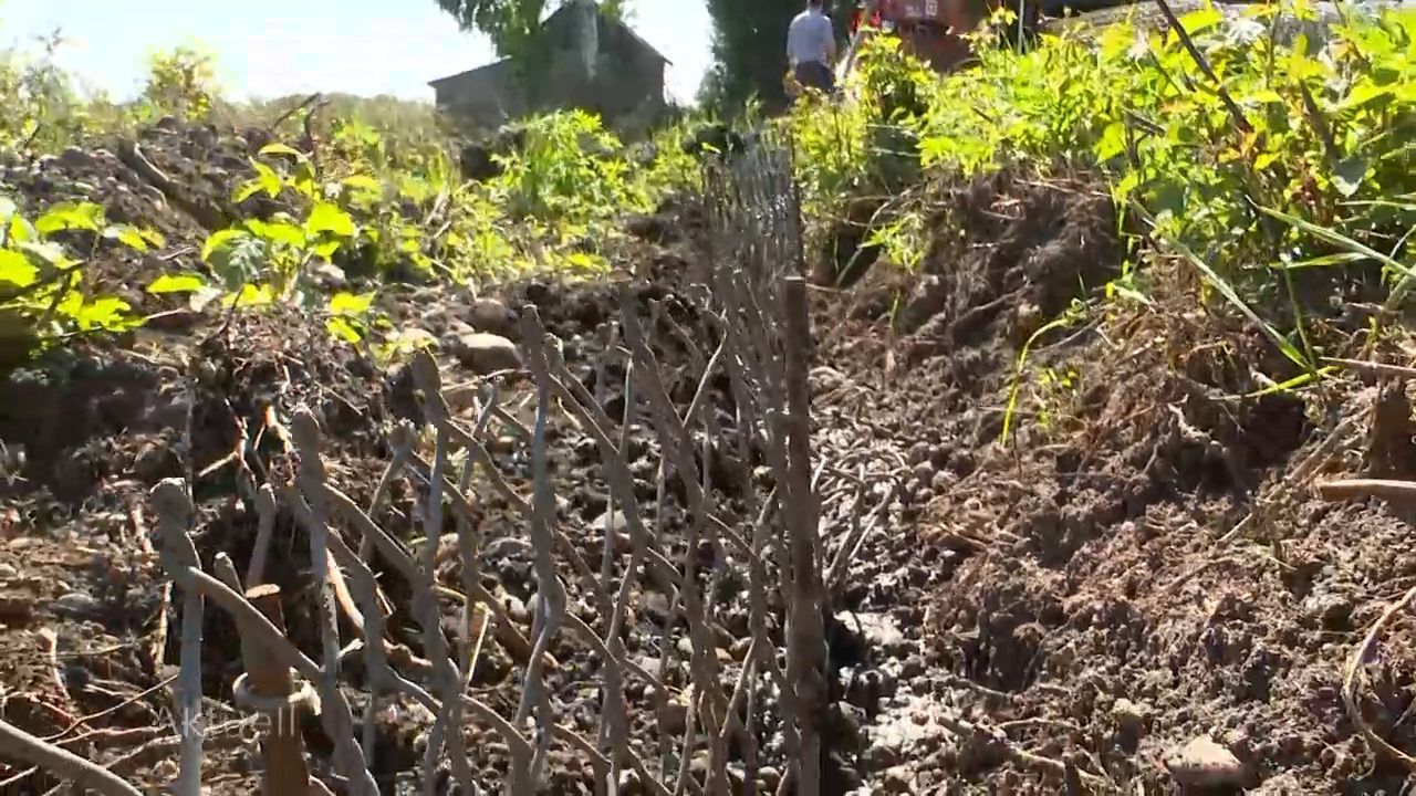 Bibergitter, Bibernetz, Wühltierschutz, Bibermatte , Ufersicherung, Dammsicherung, Deichsicherung, Wasserbau, IWT Verfahren