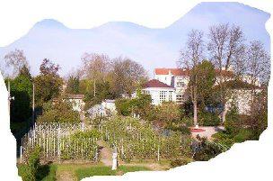 Société d'Horticulture, d'Arboriculture et de Viticulture