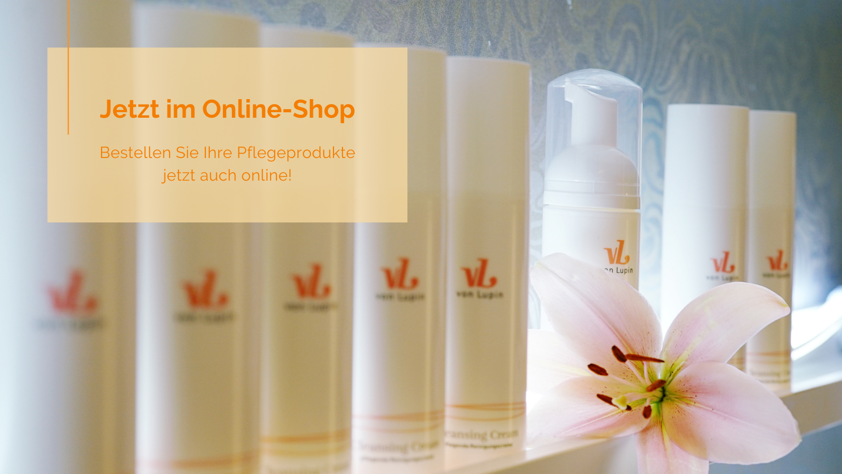 Online Shop Von Lupin Produkte im Online Shop