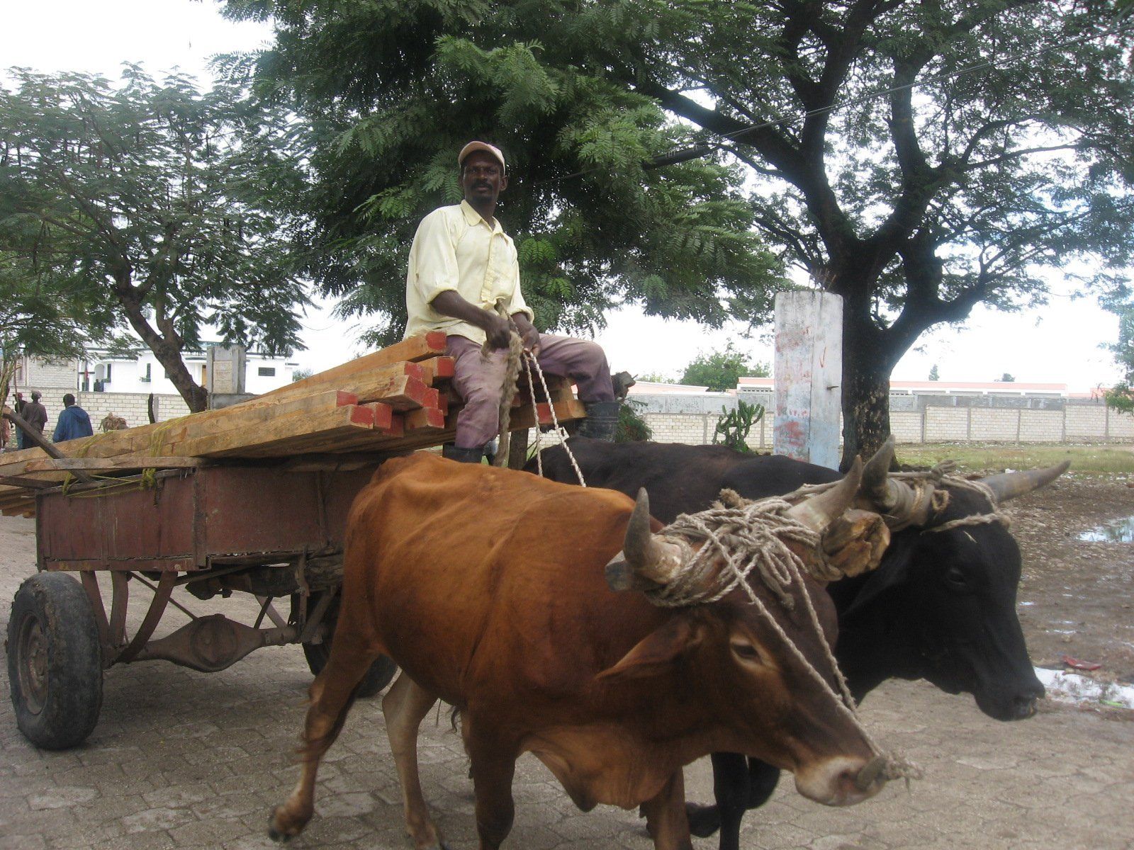 Farmer education and training in Haiti