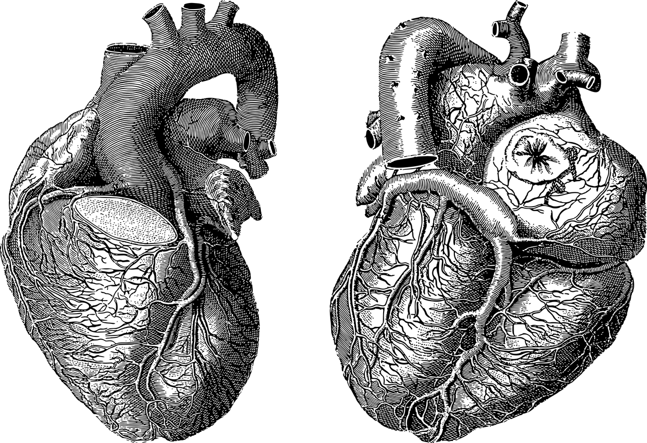 Medianskandal - Berichterstattung zu Chlordioxid Berichterstattung zu Chlordioxid
