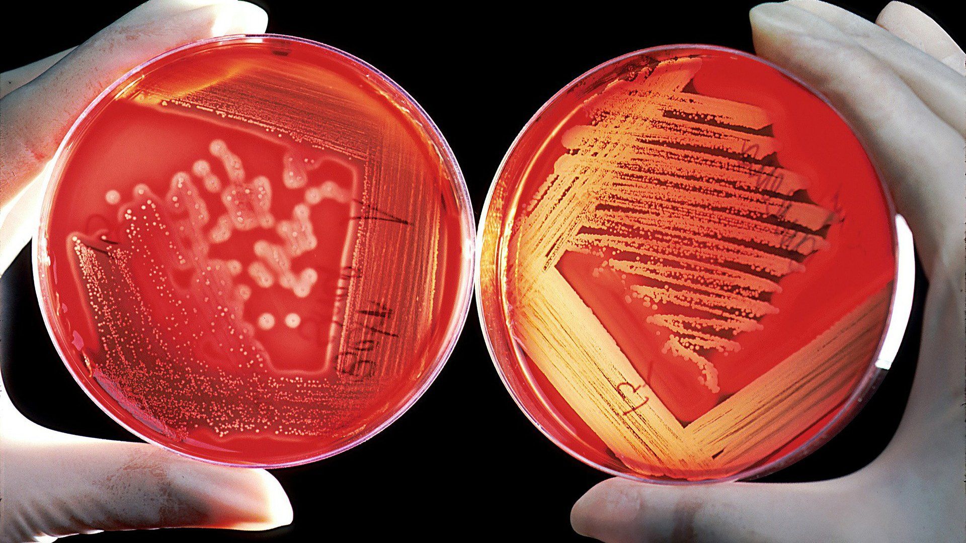 MMS Chlordioxid-Lösung MMS Chlordioxid-Lösung