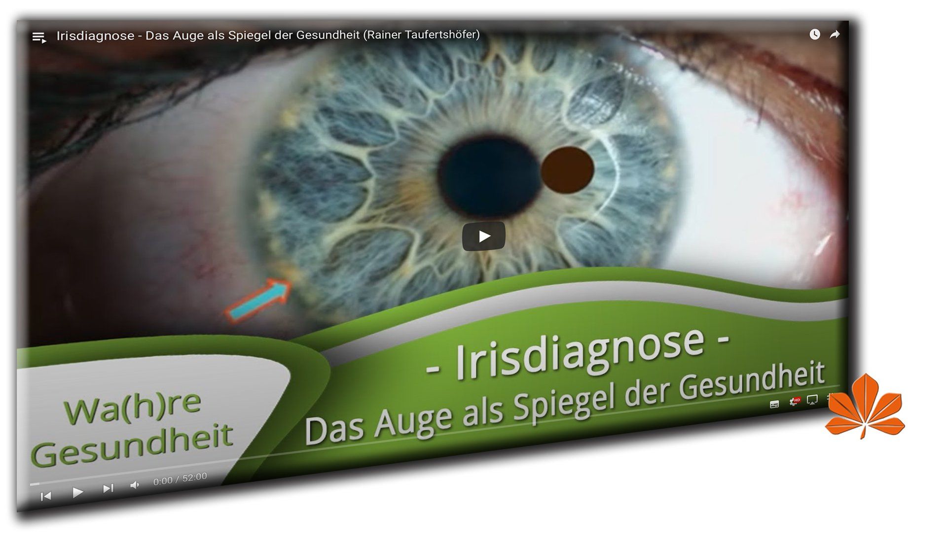 Irisdiagnose - Das Auge als Spiegel der Gesundheit (Rainer Taufertshöfer) Irisdiagnose - Das Auge als Spiegel der Gesundheit (Rainer Taufertshöfer)