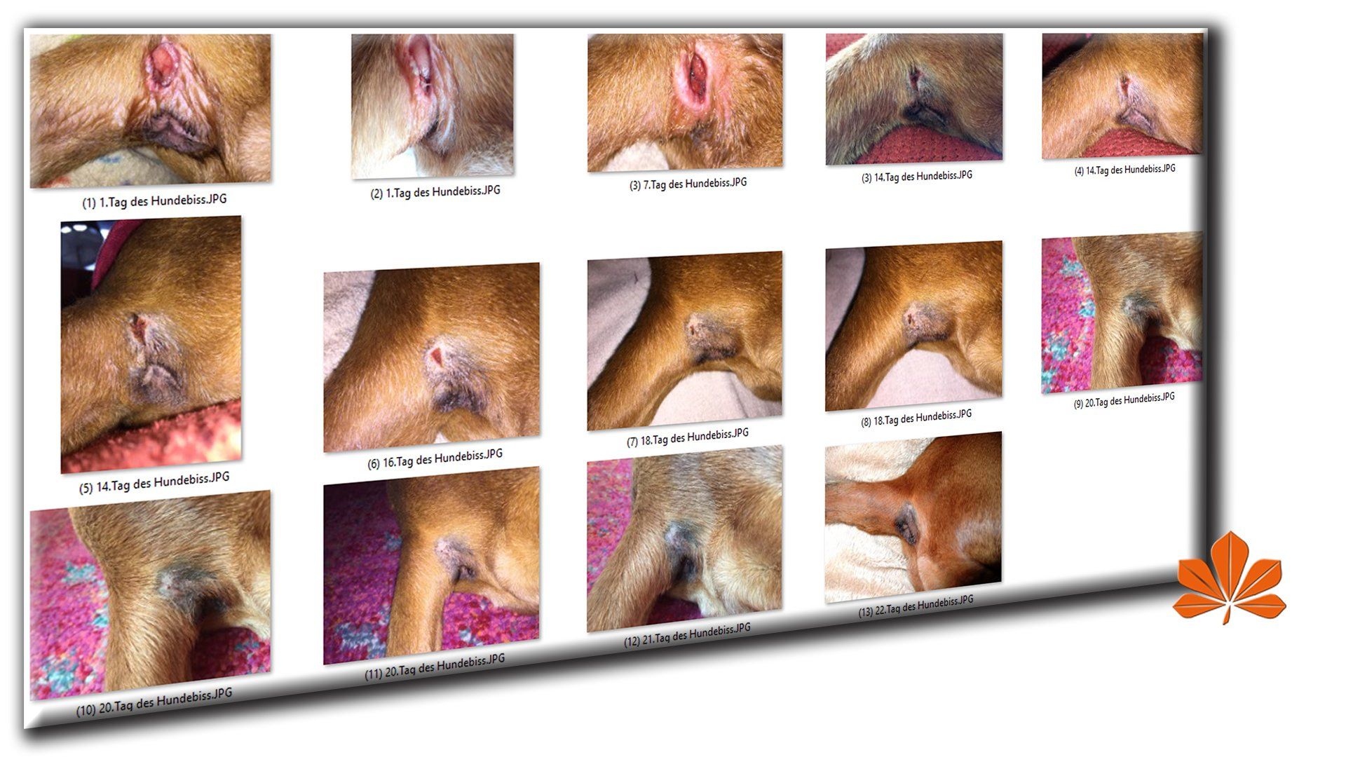 Chlordioxid Wundheilung