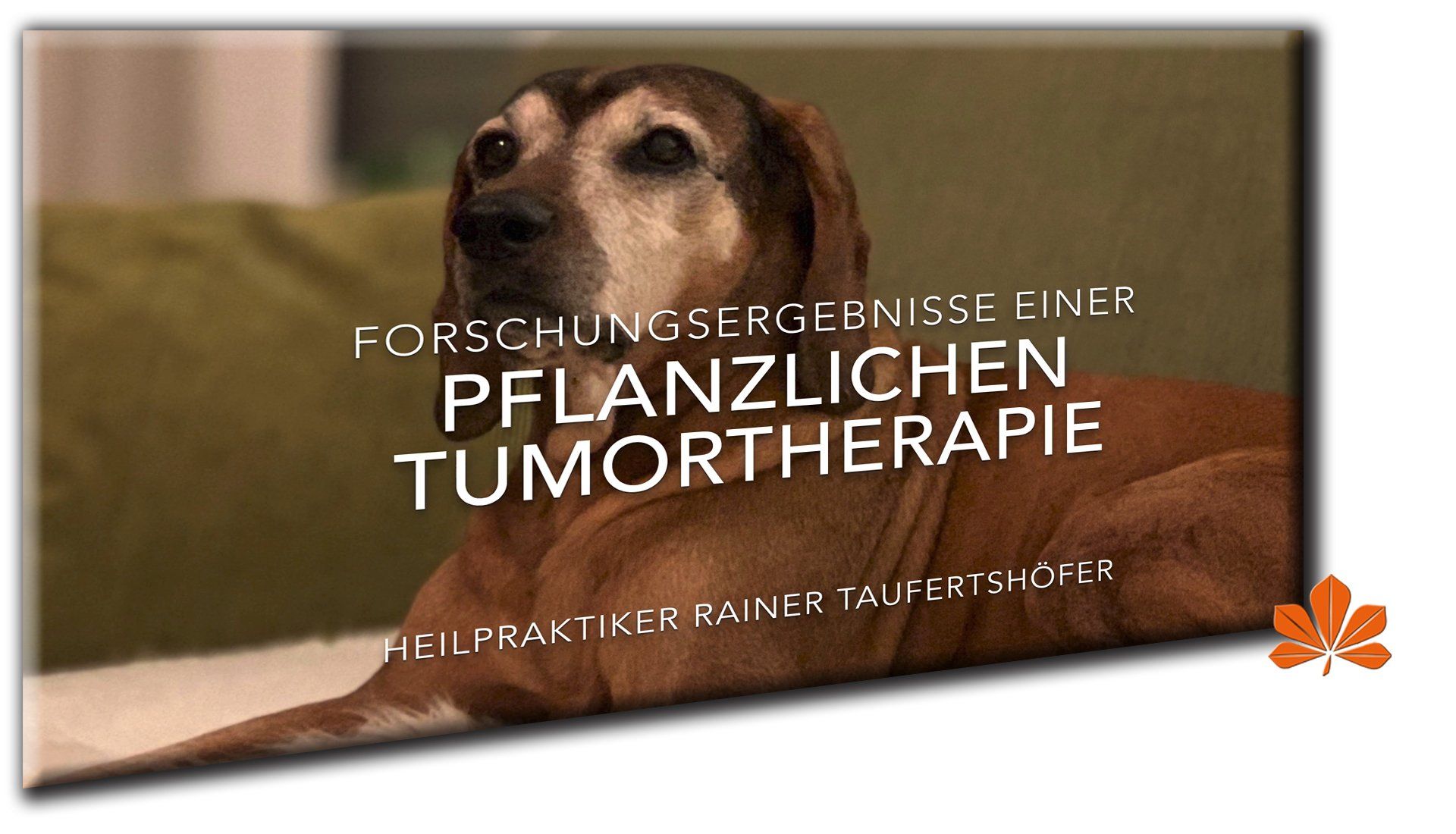 Chlordioxid Krebstherapie Hund