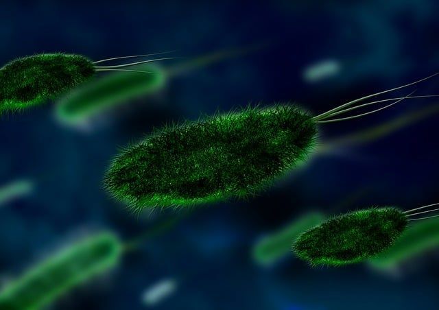 Artesunat und Protozoen  Artesunat und Protozoen – Neue Perspektiven in der ganzheitlichen Krebstherapie