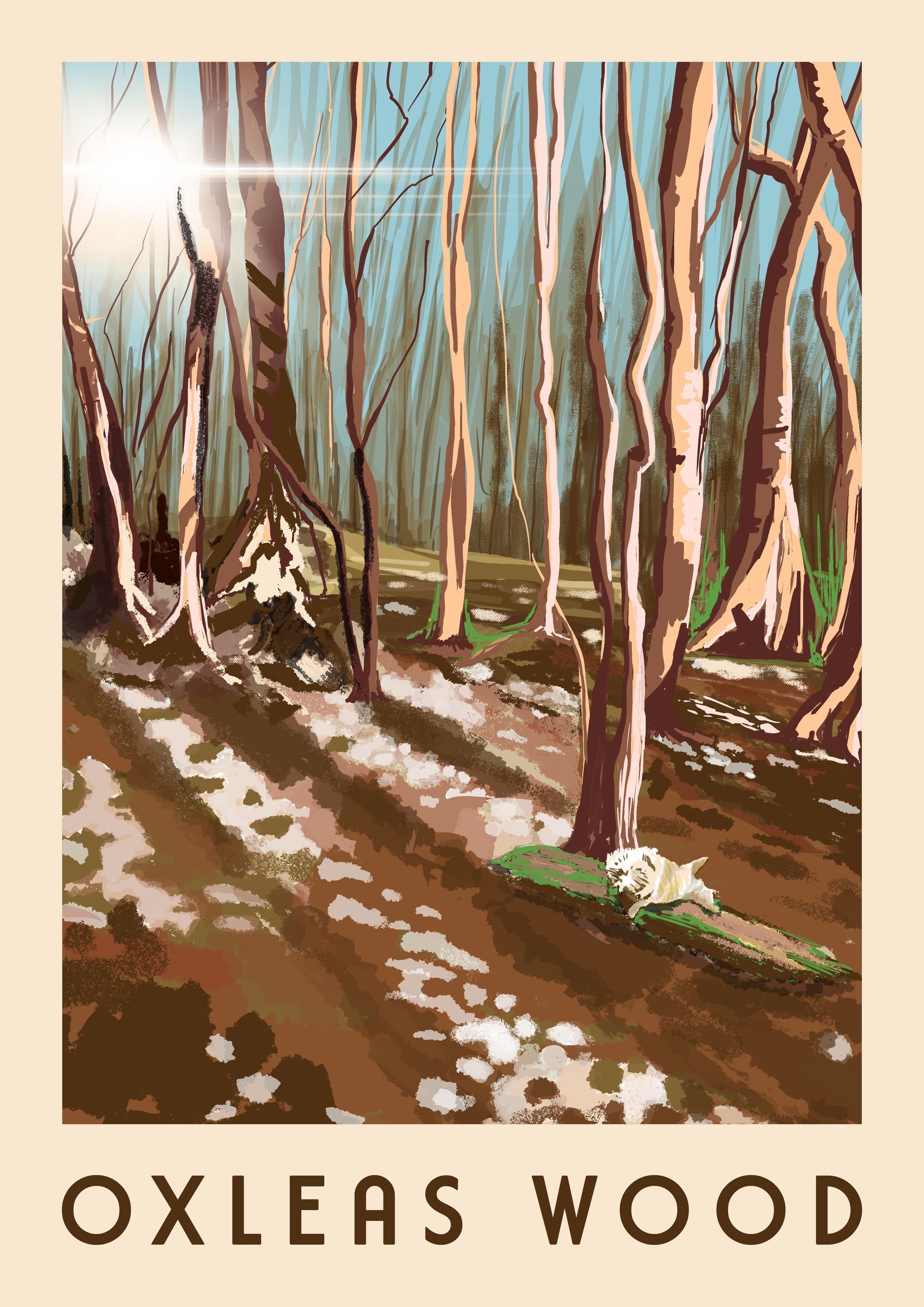 Oxleas Wood Greenwich