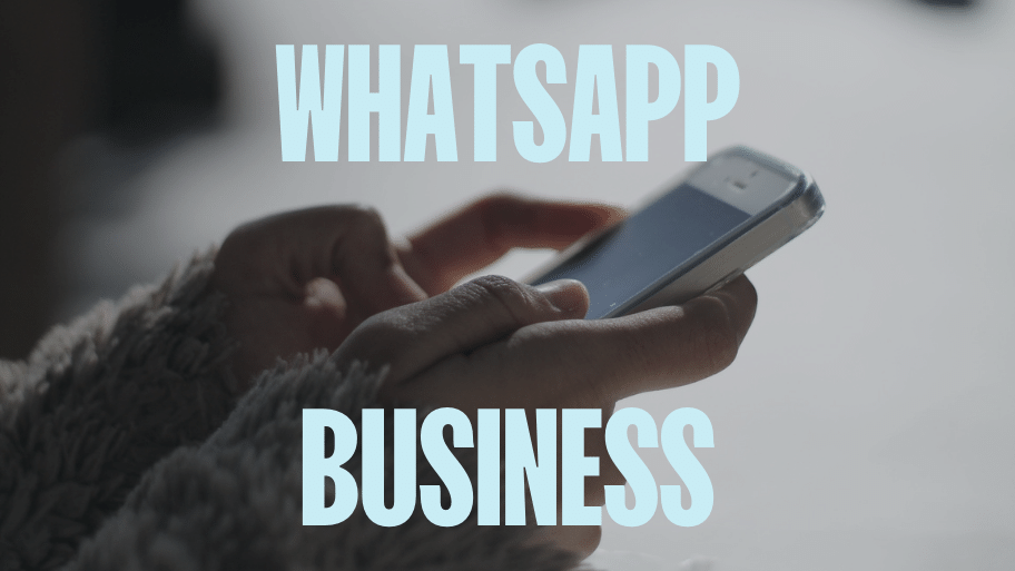 0114276565 Whatsapp business 0114276565 ortopedia sanitaria cibrario torino