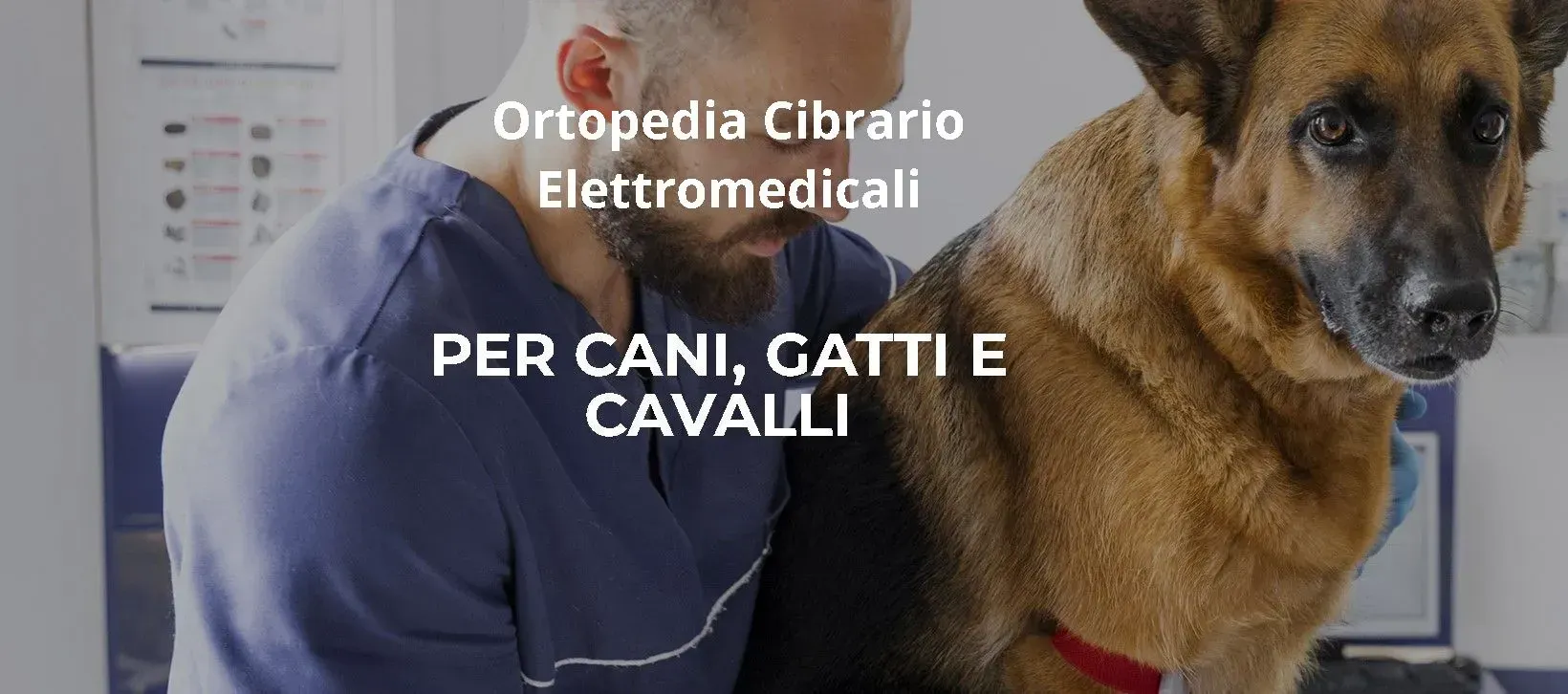 dispositivi per cani e gatti e cavalli