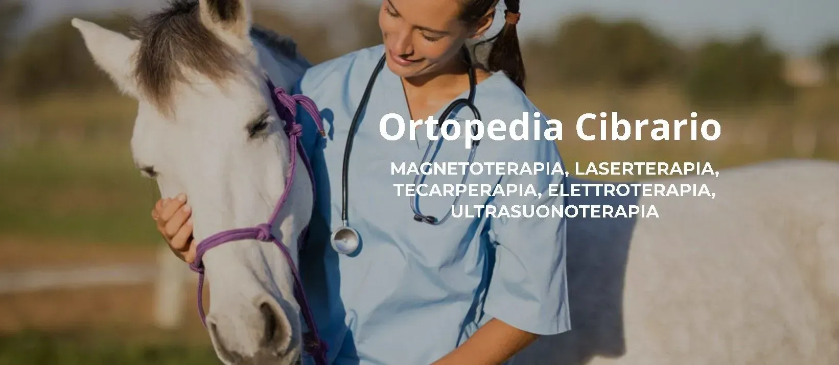 veterinaria elettromedicali