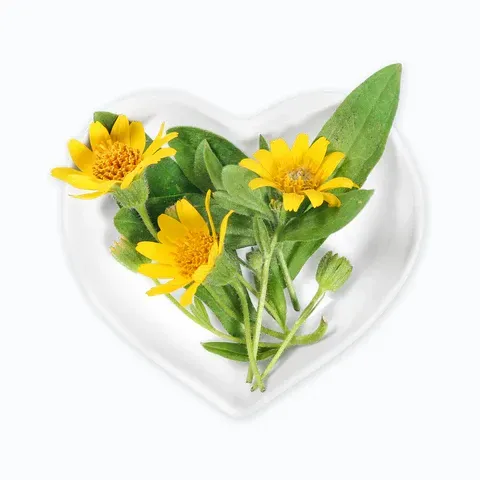 ARNICA 99%