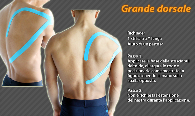 grande dorsale