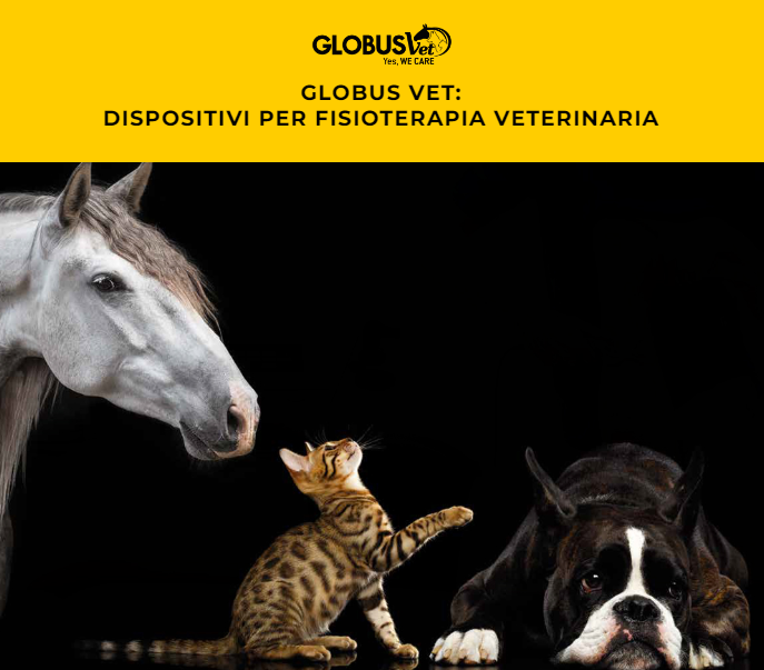 Dispositivi per fisioterapia veterinaria