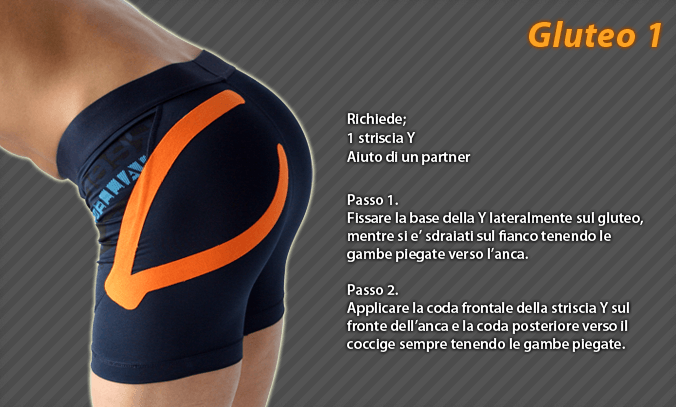 gluteo