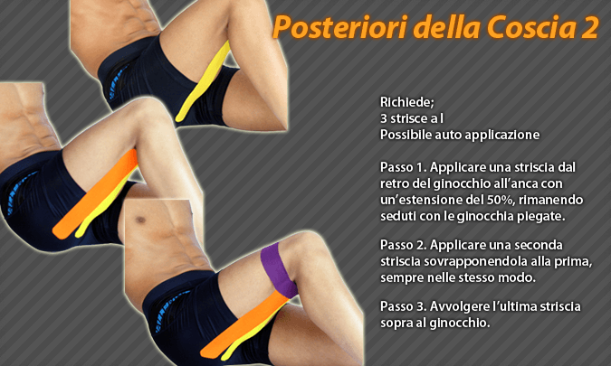 posteriori della coscia