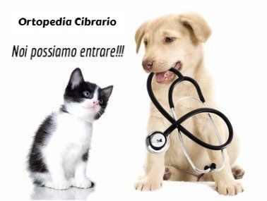 Gli animali sono i ben venuti. I cani possono entrare in negozio