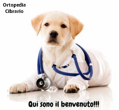 noi possiamo entrare