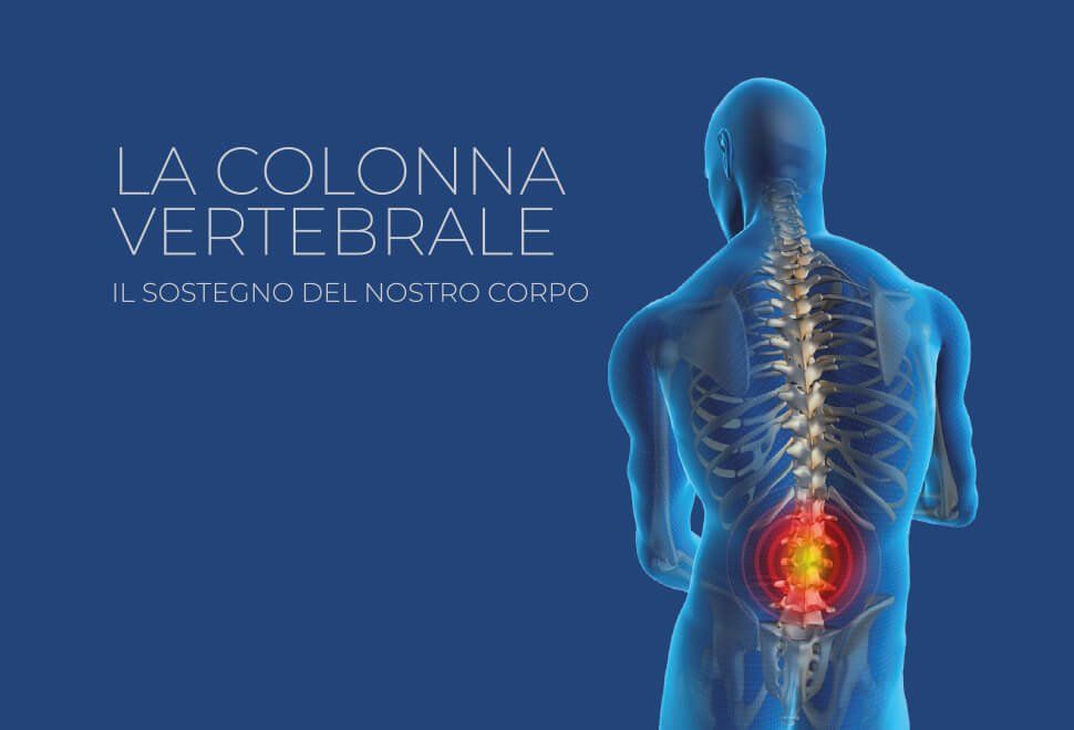 colonna vertebrale il sostegno del nostro corpo