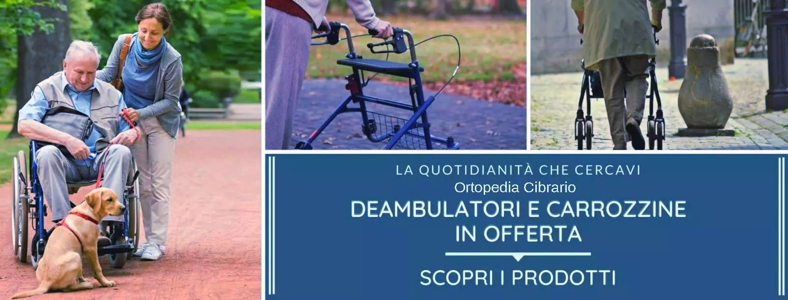 AUSILI PER DISABILI ORTOPEDIA CIBRARIO TORINO