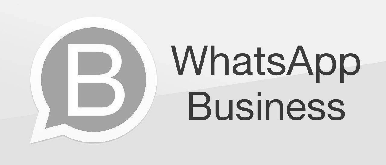 WhatsApp Business 0114276565 ortopedia cibrario