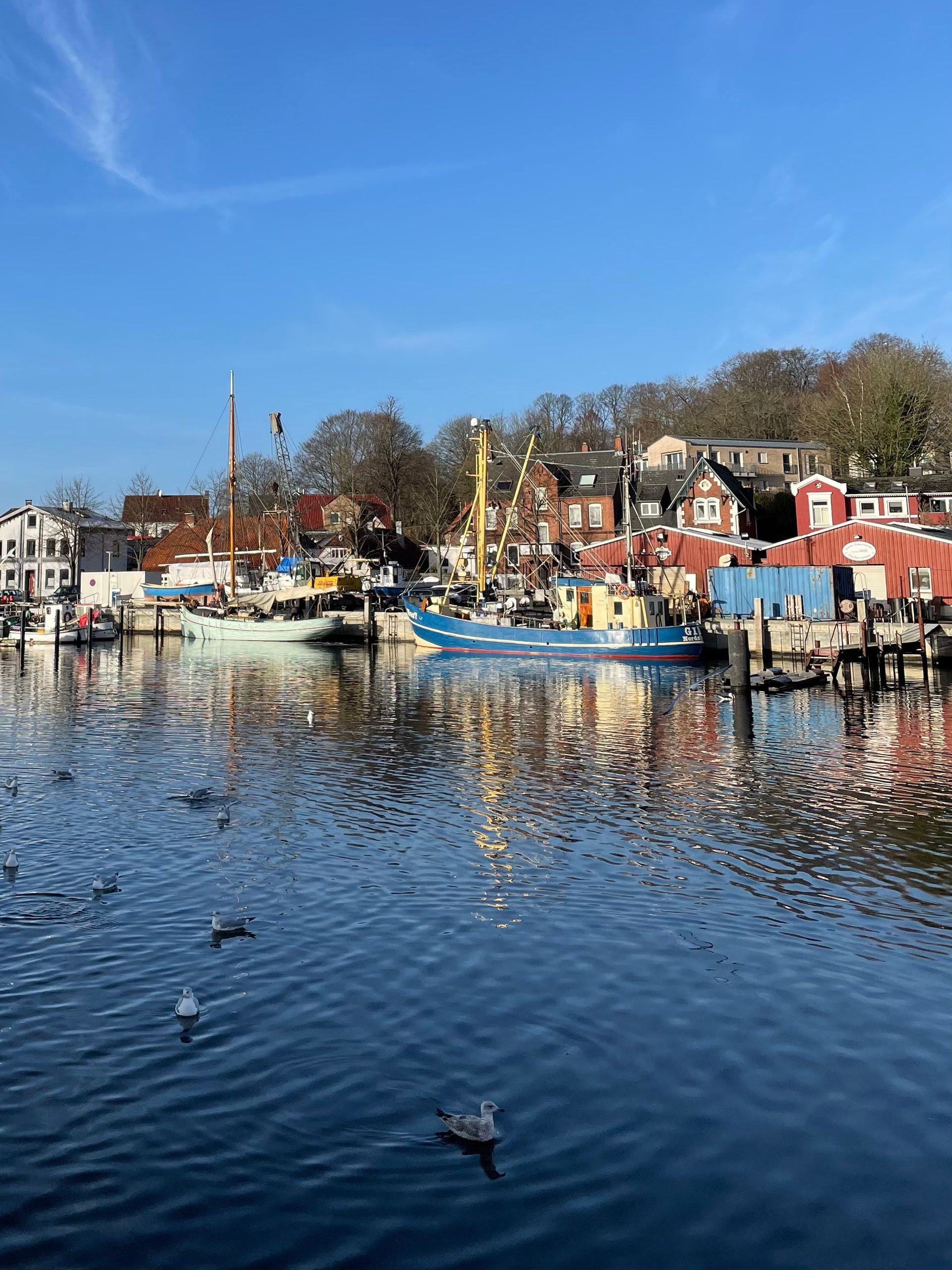 Hafen von Eckernförde, Schleswig-Holstein