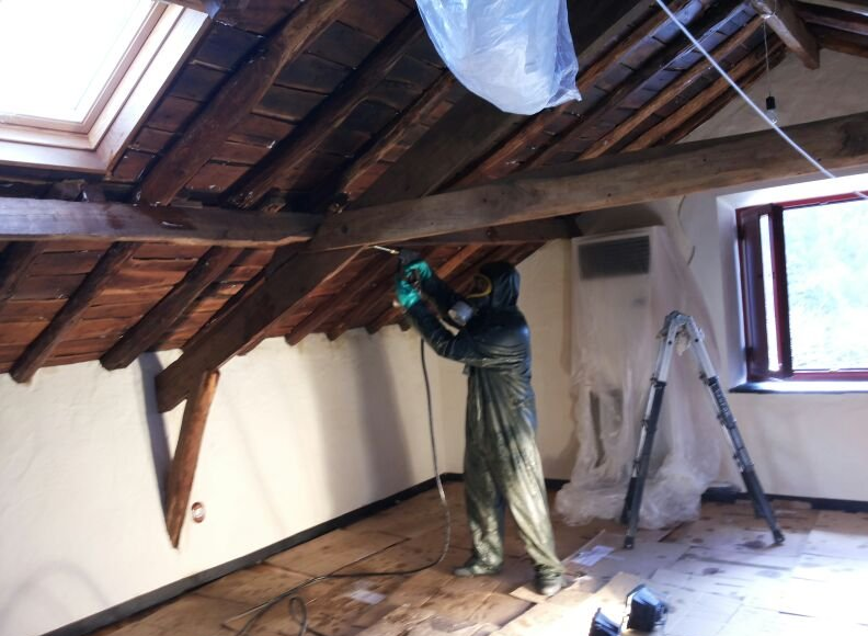 Tratamiento para eliminar termitas en Madrid Toledo