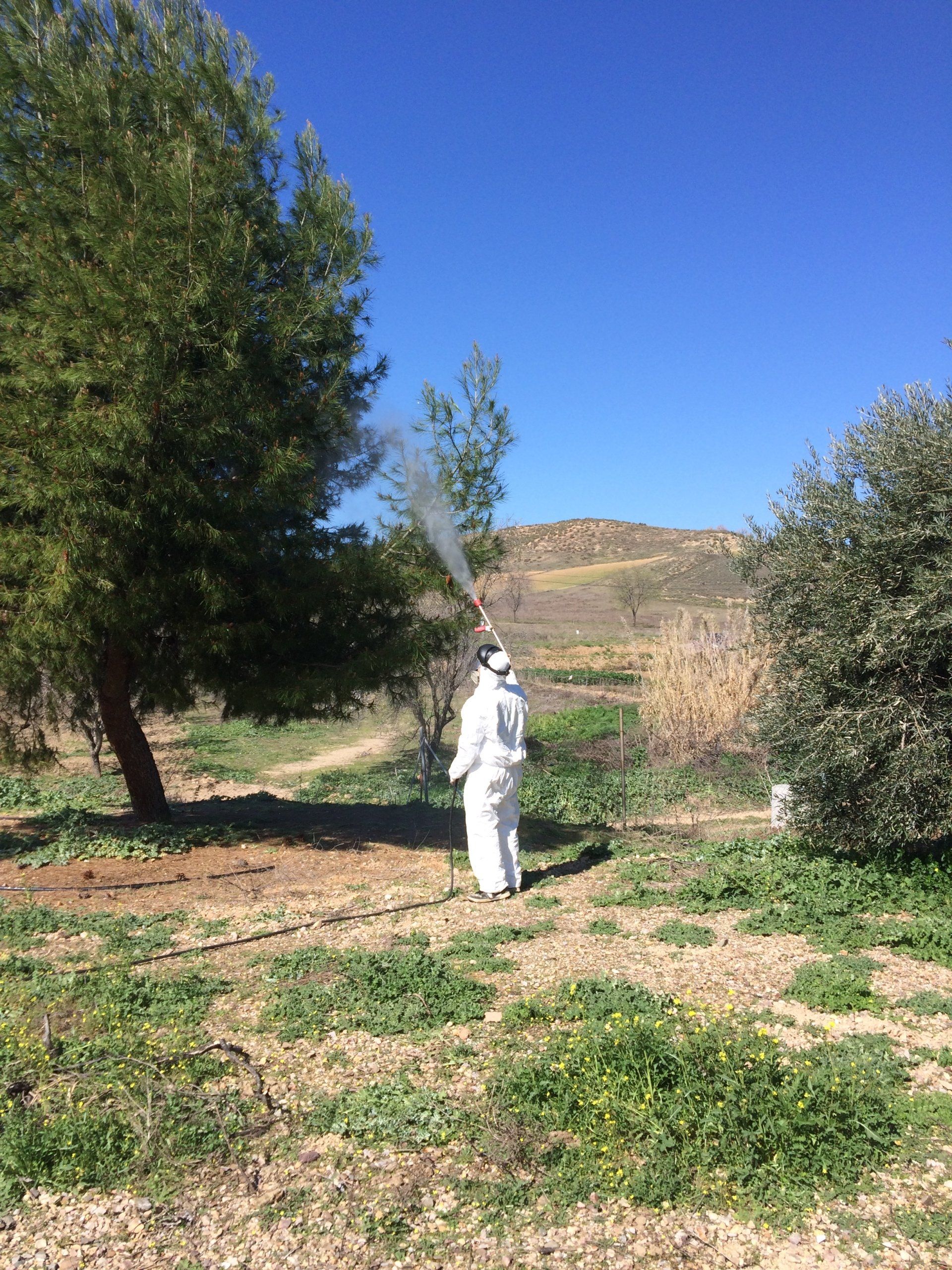 Tratamiento fitosanitario Madrid Toledo