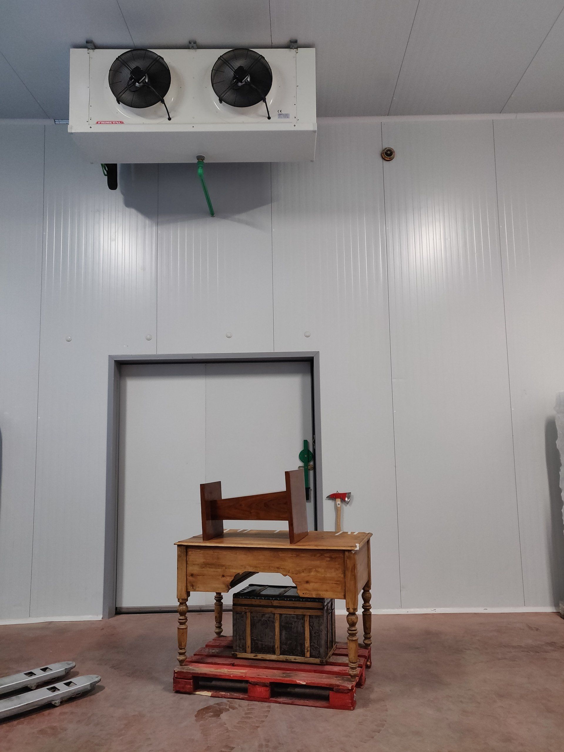 Eliminar carcoma en Madrid  por congelación