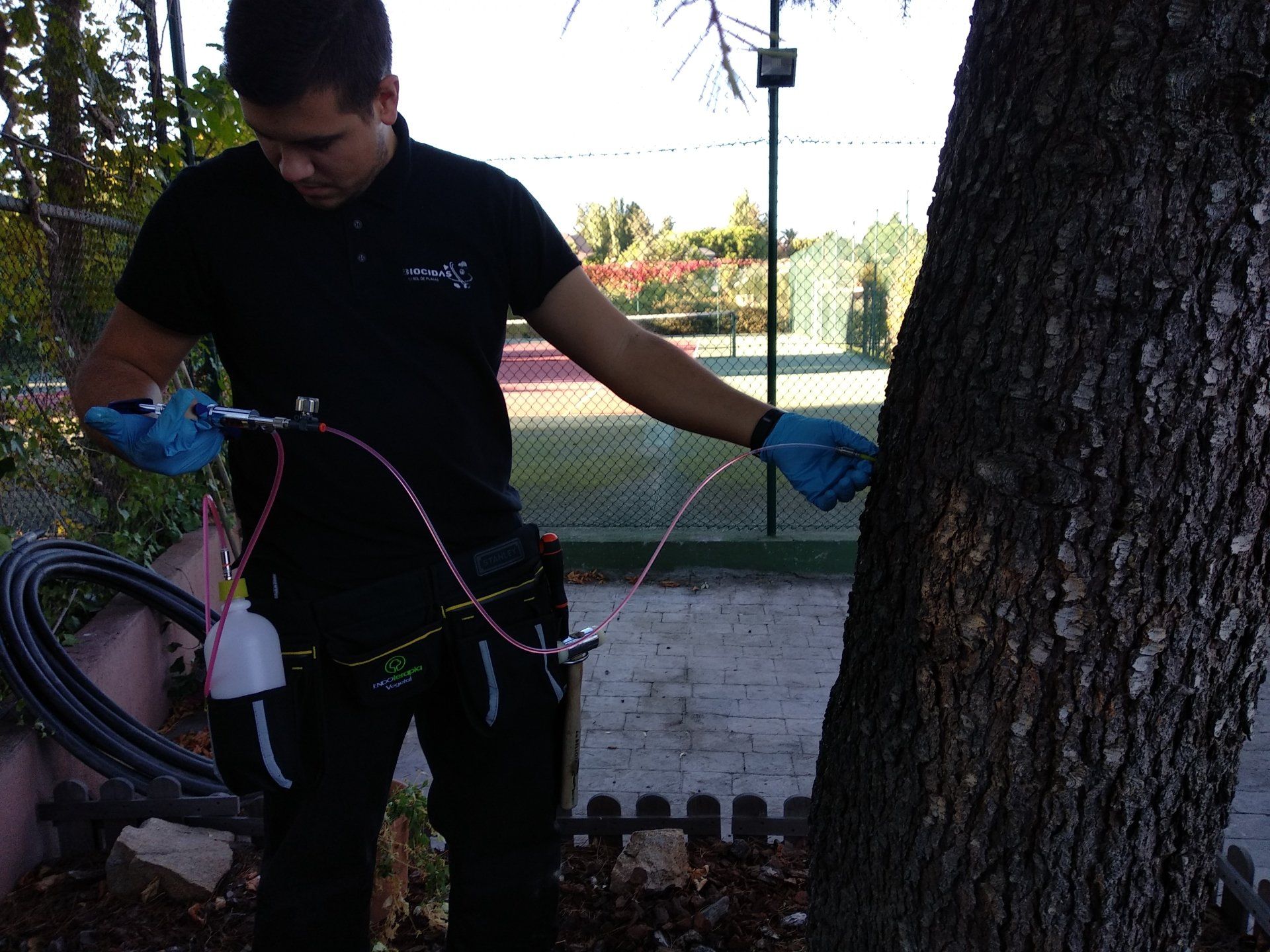 Endoterapia en Madrid