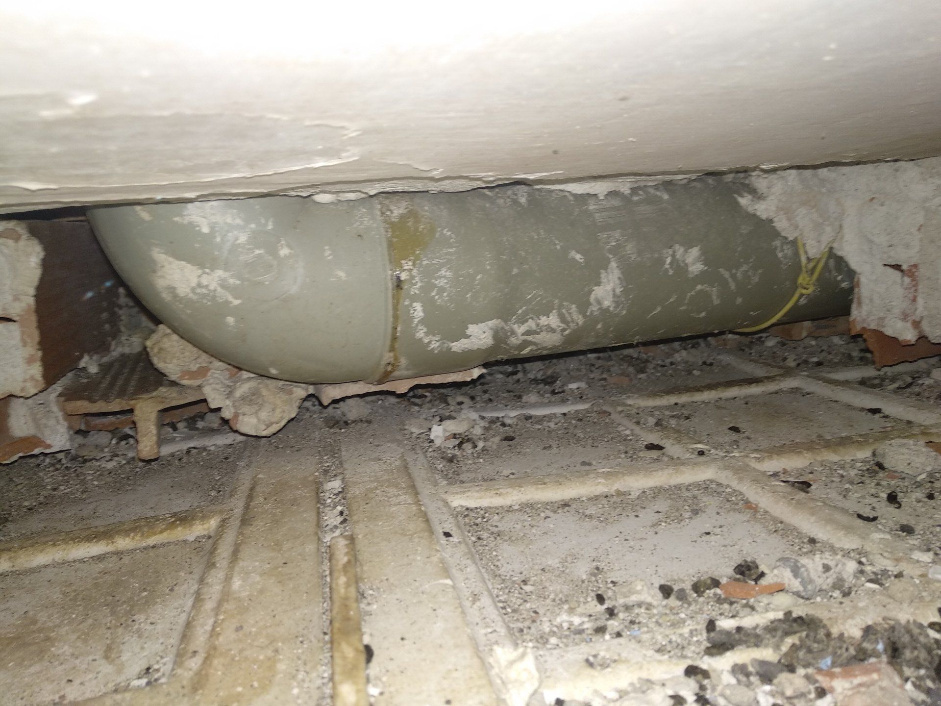 Heces de rata en falso techo