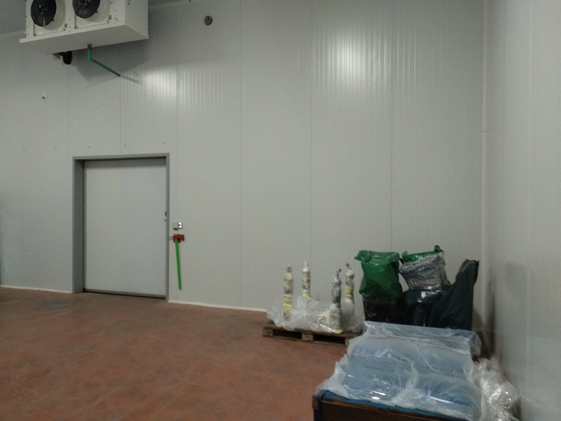 ELIMINAR CARCOMA POR FRÍO