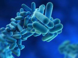 Prevención y control de legionella