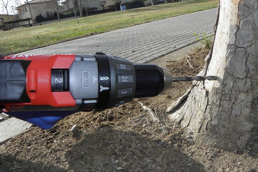 Perforación árboles para endoterapia