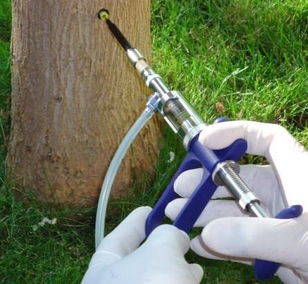 Endoterapia en Madrid