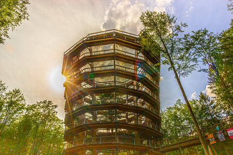 Baumwipfelpfad Ebrach