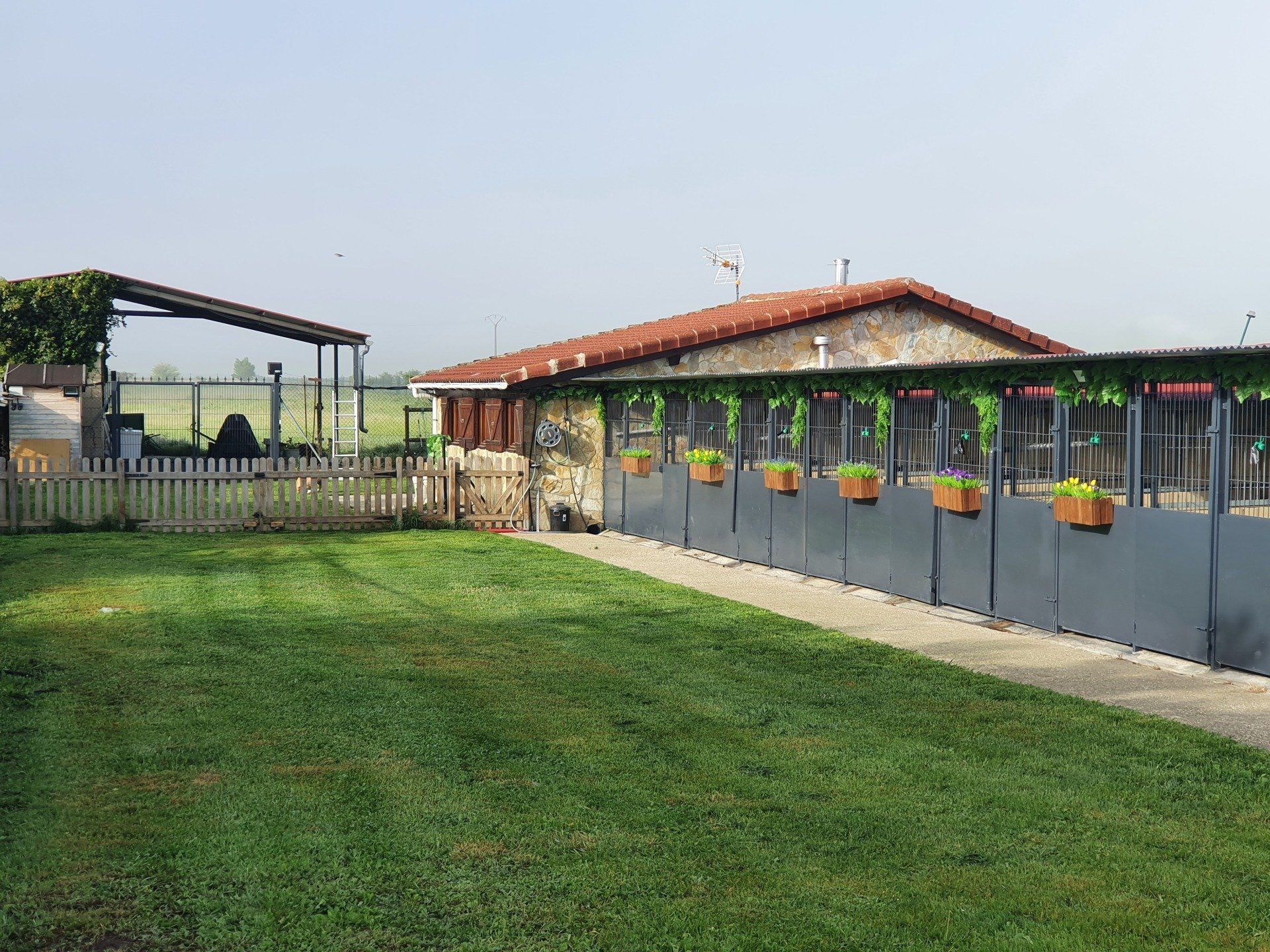 Rottweiler Bulldog Inglés - Kinderbull - Criadero Rottweiler Bulldog Inglés - Kinderbull - Criadero