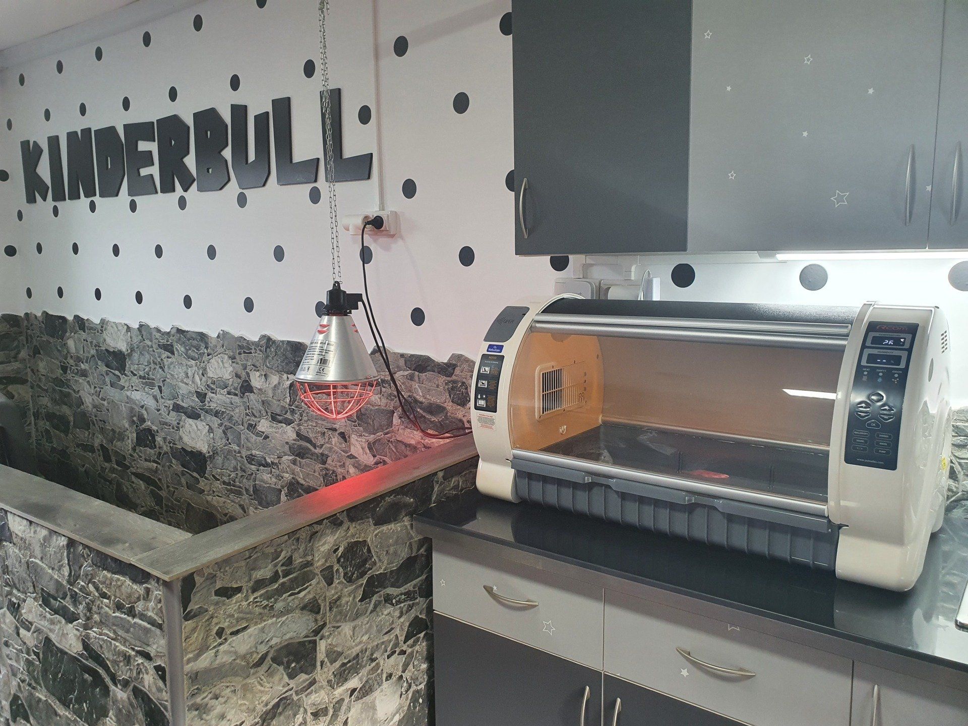 Baby room - Kinderbull - Bulldog Inglés y Rottweiler Baby room - Kinderbull - Bulldog Inglés y Rottweiler