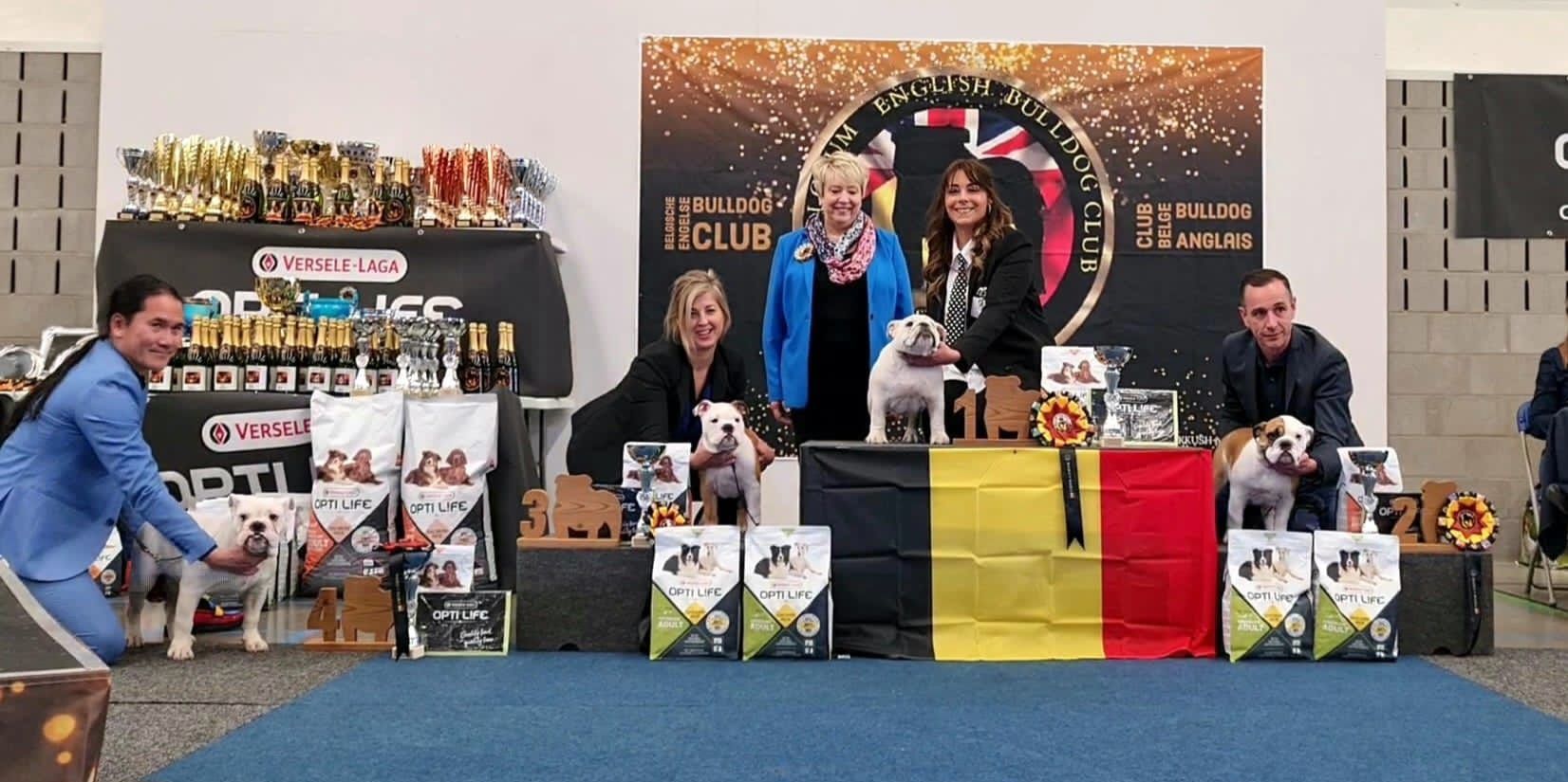 Club Bulldog Bélgica - Kinderbull - Bulldog Inglés Club Bulldog Bélgica - Kinderbull - Bulldog Inglés