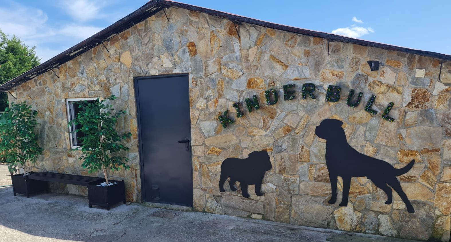 Kinderbull - Criadero Rottweiler y Bulldog Inglés - Cachorros Kinderbull - Criadero Rottweiler y Bulldog Inglés - Cachorros